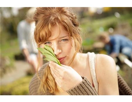 Bärlauch hat wieder Saison