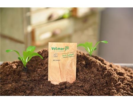 Aussaat im Spätsommer