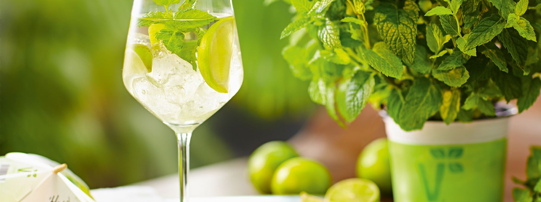 Cocktail Kräuter.jpg