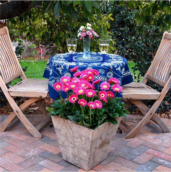 Gerbera 'Garvinea® Sweet Spice'