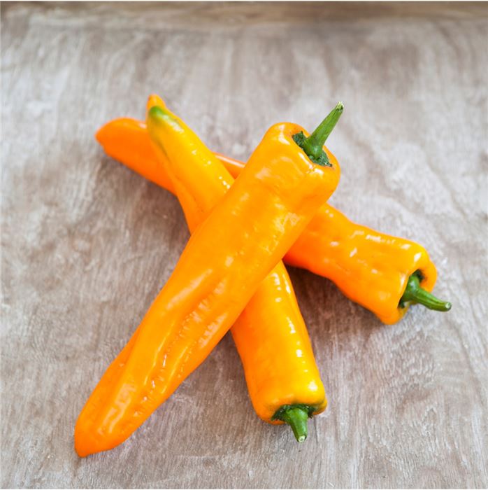 Jumbo-Snackpaprika 'Manati® Orange'