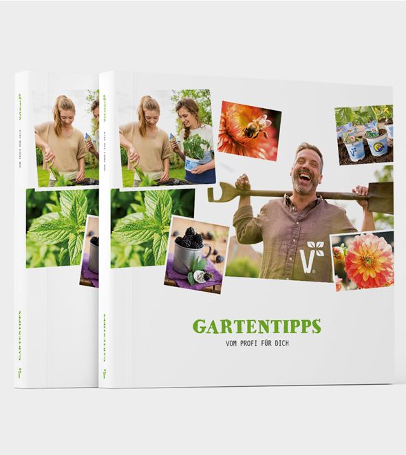 Gartenbücher.png