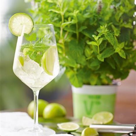 cocktailkraeuter-kraeutersets.jpg