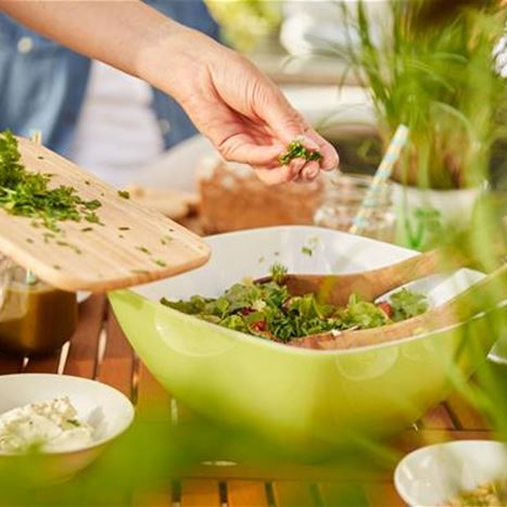 kraeuter-salat-kraeuterset.jpg