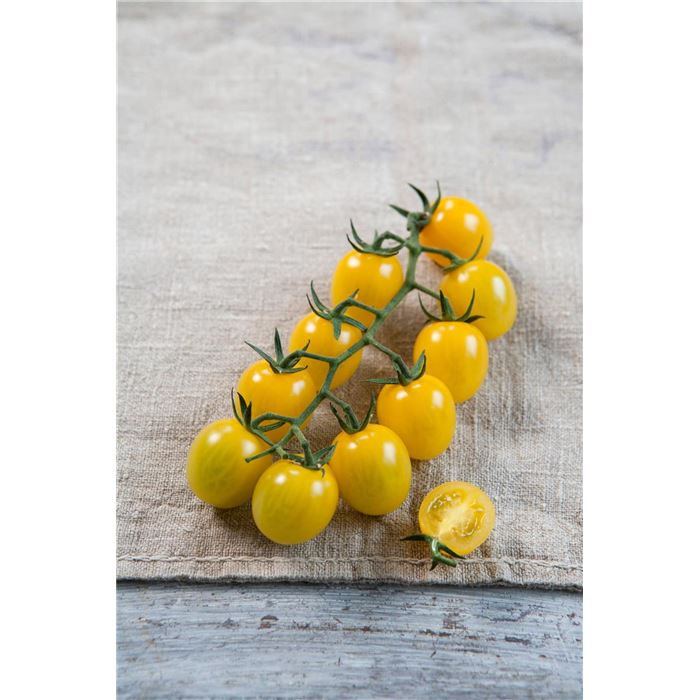Nektar-Cherry-Tomate 'Solena® Lemon' F1
