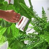 Edles Pflanzenbewässerungsset