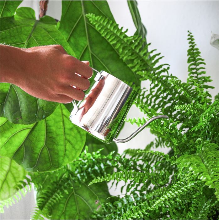 Edles Pflanzenbewässerungsset