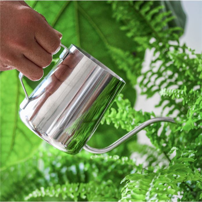 Edles Pflanzenbewässerungsset