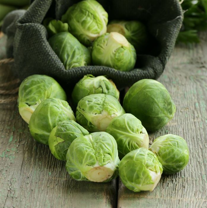 Rosenkohl 'Groninger'