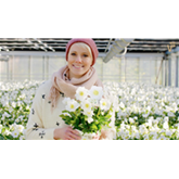 Christrose 'WinterSun®'