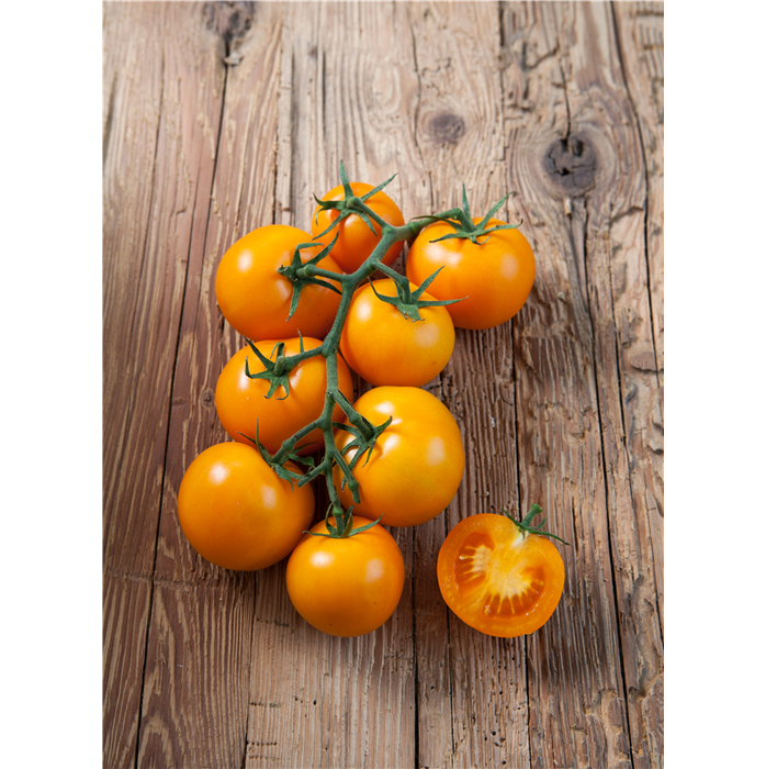 Carotin-Tomate 'Starlias® Orange' (Bolzano)