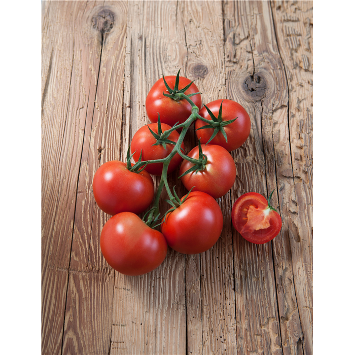 Strauch-Tomate 'Starlias® Red' (Culina) F1