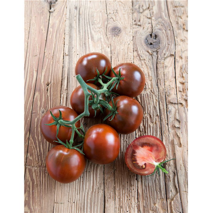 Stab-Tomate 'Starlias® Choco (Kakao)'
