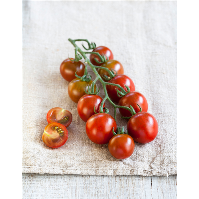 Nektar-Cherry-Tomate 'Solena® Choco' F1