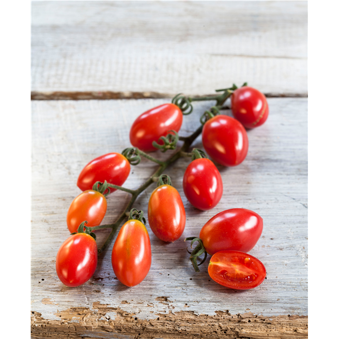 Pflaumen-Cherry-Tomate 'Mirado® Rose' F1