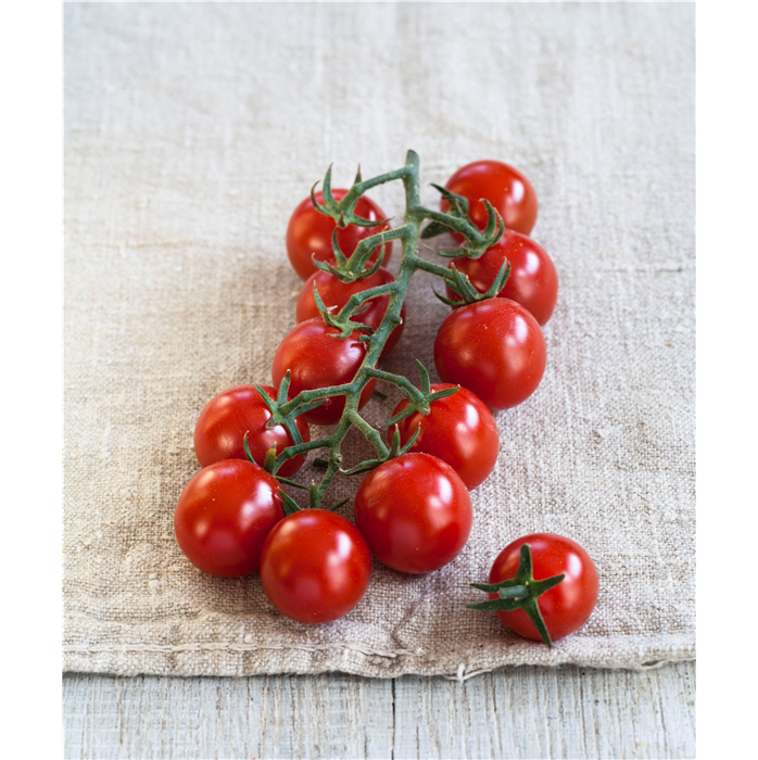Nektar-Cherry-Tomate 'Solena® Red' F1