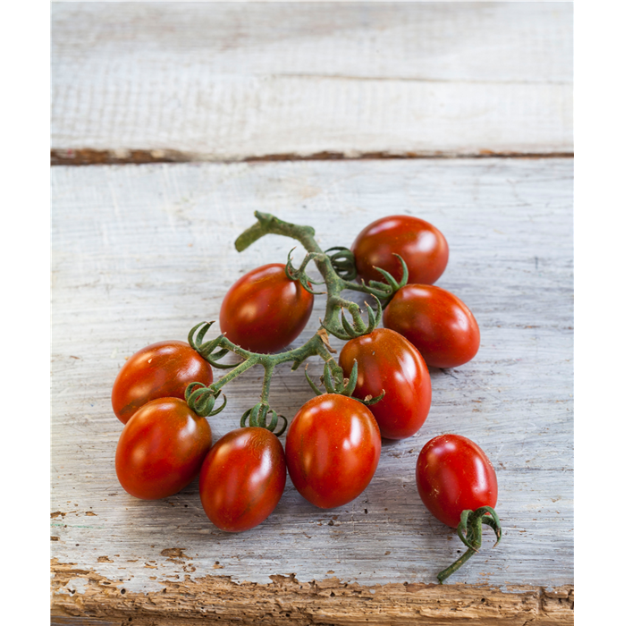 Tomate 'Mirado® Choco' F1