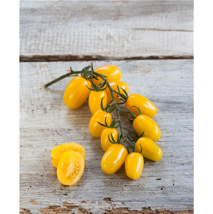 Tomate 'Mirado® Yellow' F1