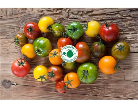 Das Volmary<sup>®</sup> Tomaten Tasting 