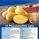 Pflanzkartoffel 'Agria'