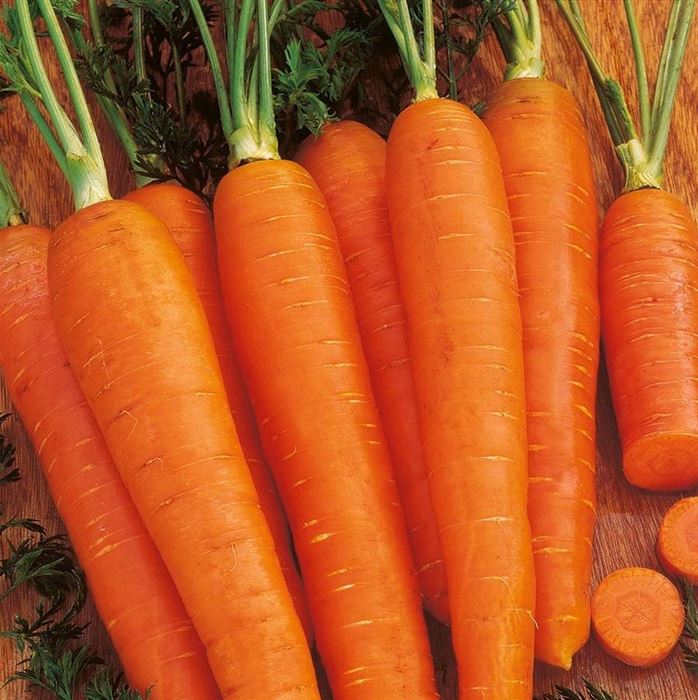 Winter-Möhre 'Cubic'