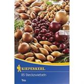 Steckzwiebel-Trio gelbe, rote und birnenförmige 75er Mix