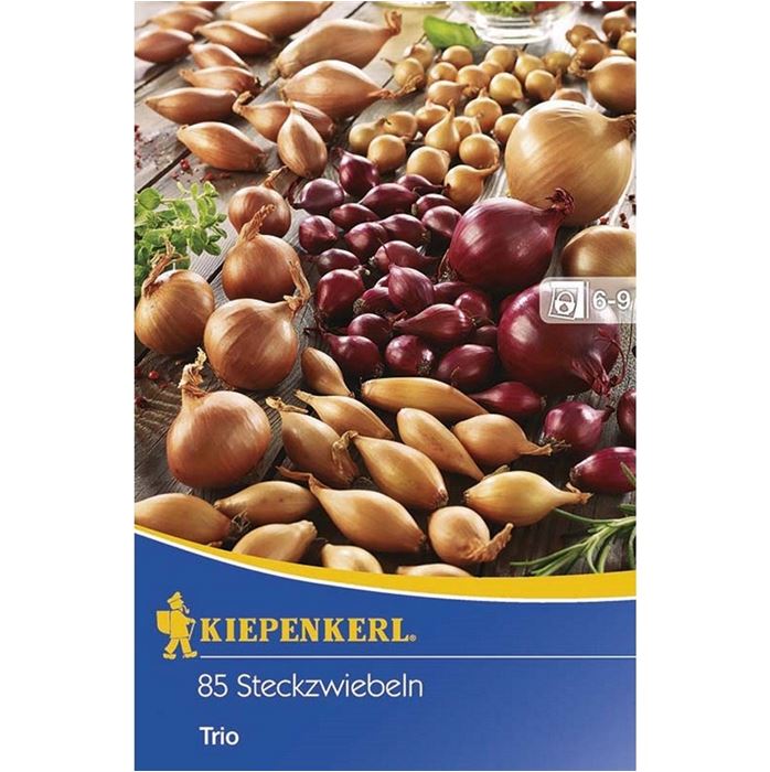 Steckzwiebel-Trio gelbe, rote und birnenförmige 75er Mix