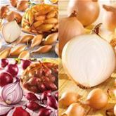 Steckzwiebel-Trio gelbe, rote und birnenförmige 75er Mix