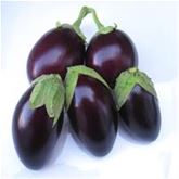 Balkon-Aubergine 'Diamond Purple' F1