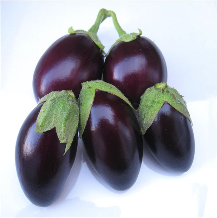 Balkon-Aubergine 'Diamond Purple' F1