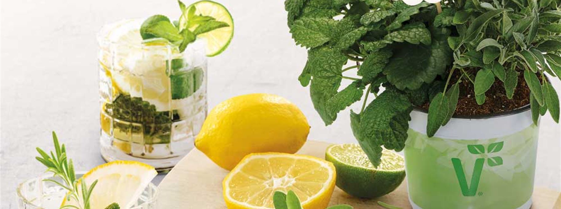 V-Gintonic-Kraeuter.jpg