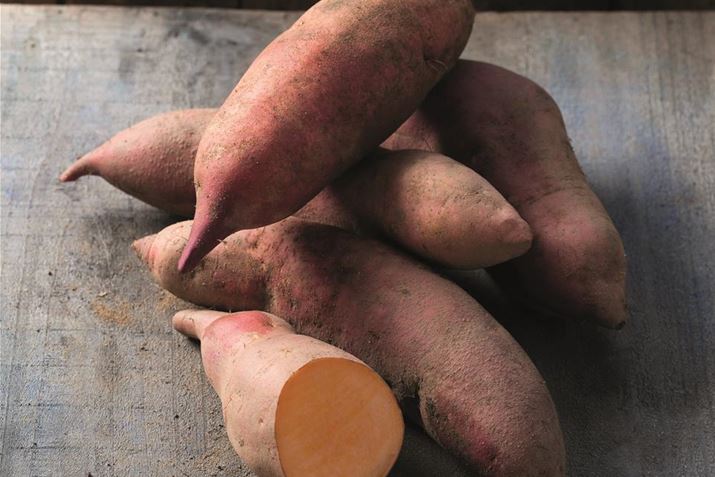Knollengemuese_Suesskartoffel_Vineland_Orange.jpg