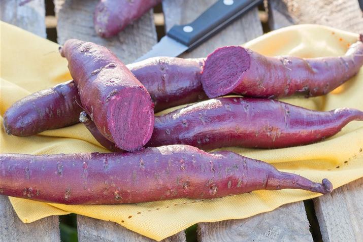 Suesskartoffel_Erato_Violet.jpg
