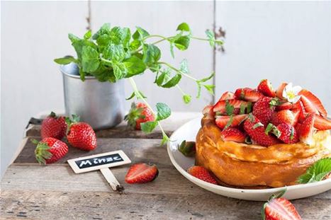 Rezept_Käsekuchen mit Erdbeeren.jpg