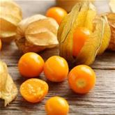 Physalis 'Goldvital®'