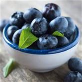 Französischer Estragon 'Pfefferkorn'