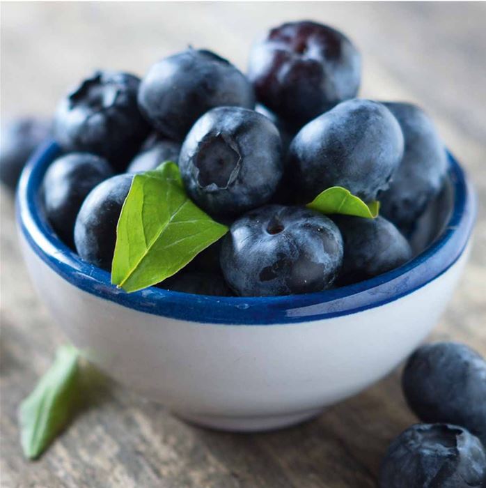 Frühe-Heidelbeere 'Colour Bells® Blue (Duke)'