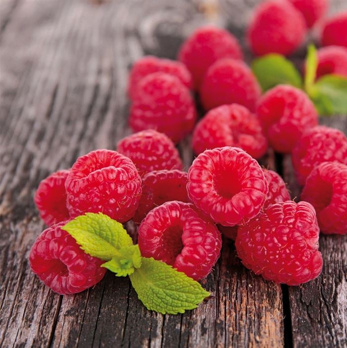 Herbst-Himbeere 'Autumn First®'