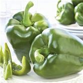 Süß-Paprika 'Beluga® Green'