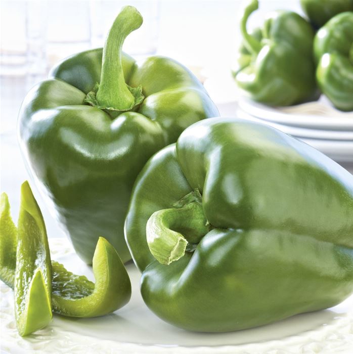 Süß-Paprika 'Beluga® Green'
