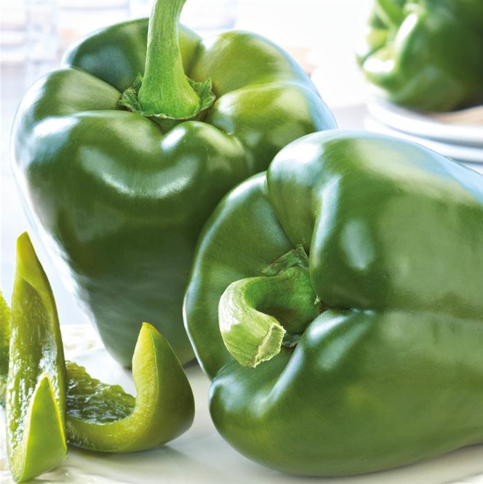 Süß-Paprika 'Beluga® Green'