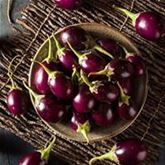 Balkon-Aubergine 'Diamond Purple' F1