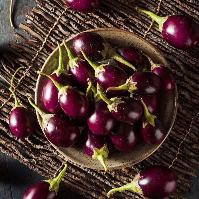 Balkon-Aubergine 'Diamond Purple' F1