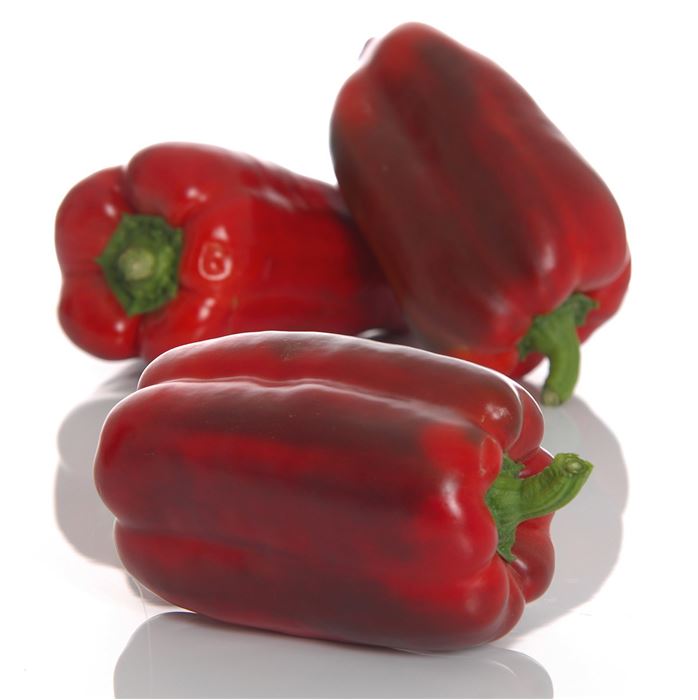 Jumbo Paprika 'Torelus® Red'