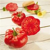 Jumbo-Fleischtomate 'Buffalosteak' F1