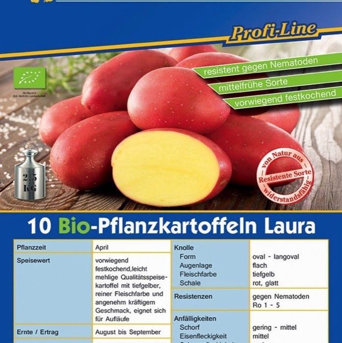 Pflanzkartoffel 'Laura'