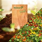 Kapuzinerkresse 'Tip Top Mix'