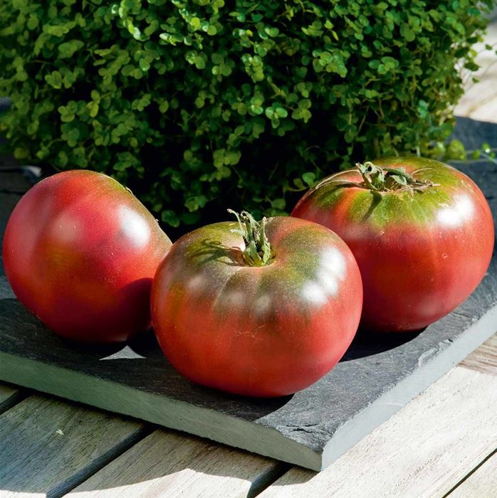 Fleisch-Tomate 'Noire Crimée'