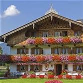 Bayern-Geranie 'Ville de Paris Rose' Bayern-Geranie 'Ville de Paris Rose'