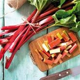 Rhabarber 'Sanvitos® Summer'